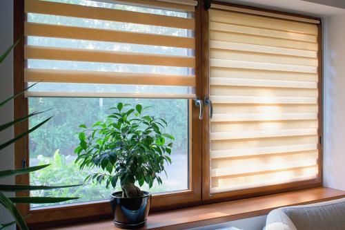 Рулонные шторы или обычные: что выбрать для вашего дома 34 Рулонные шторы или обычные: что выбрать для вашего дома 34