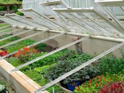 Самые лучшие проекты зимних теплиц. Типовая технология возведения такой постройки 16