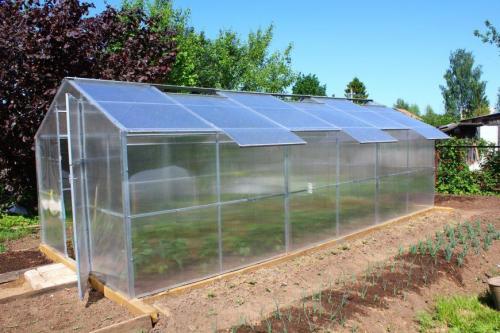 Теплицы своими руками самые лучшие проекты. Теплица своими руками — обзор лучших идей, как построить хорошую теплицу на дачном участке (80 фото идей)