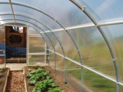 Односкатная теплица из поликарбоната своими руками. Простейшая модель парника 28 Односкатная теплица из поликарбоната своими руками. Простейшая модель парника 28