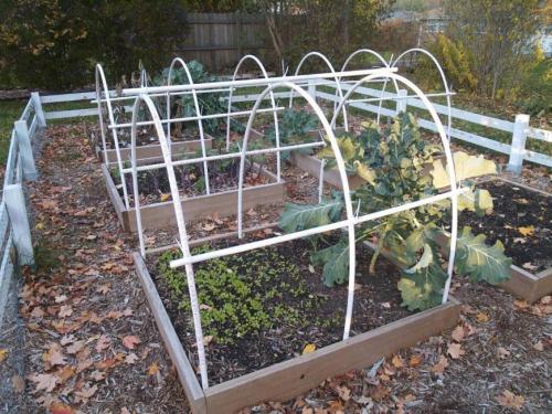 Теплица своими руками: самые лучшие проекты от а до я. Теплица своими руками — обзор лучших идей, как построить хорошую теплицу на дачном участке (80 фото идей)