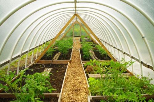 Теплица своими руками: самые лучшие проекты от а до я. Теплица своими руками — обзор лучших идей, как построить хорошую теплицу на дачном участке (80 фото идей)