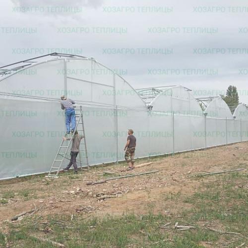 Строительство теплицы из поликарбоната. Виды 23