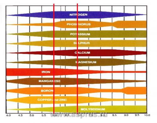 Как обеспечить оптимальное питание яблони. Кислотность почвы (pH)