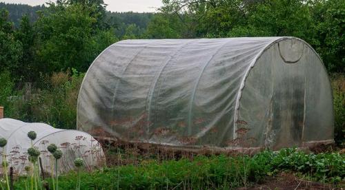 Самые лучшие проекты теплиц своими руками. Теплицы своими руками: правила проектирования и постройки теплиц из подручных материалов для любого размера участка, 89 фото 17