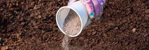 Какие удобрения лучше использовать для яблони в мае. Весенняя подкормка яблонь: какие удобрения внести перед цветением