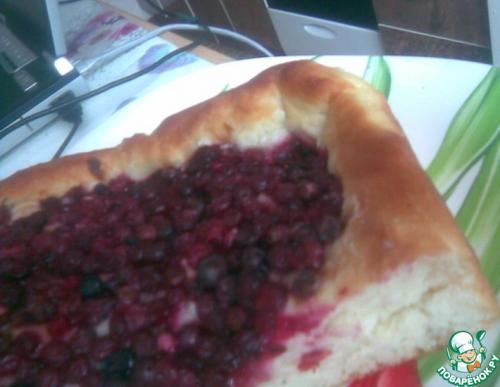 Как правильно размешать тесто для пирога пола. Очень легкое в приготовлении дрожжевое тесто для большого пирога или пиццы