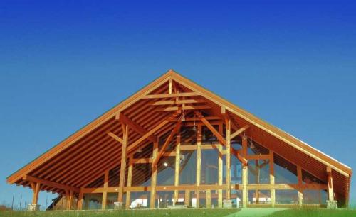 Выбираем сами лучшую постройку по каркасной технологии. Лучшие каркасные дома — варианты послевоенных и современных построек. Преимущества и недостатки каркасных домов. Советы по выбору технологий (фото + видео)