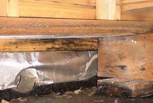 Как правильно уложить гипсокартон на пол в бане своими руками. Гниют полы в бане. Лаги в бане: условия эксплуатации и защита