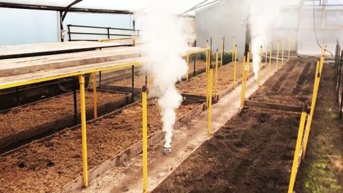 Какие методы обработки поликарбонатной теплицы рекомендуются для осеннего периода