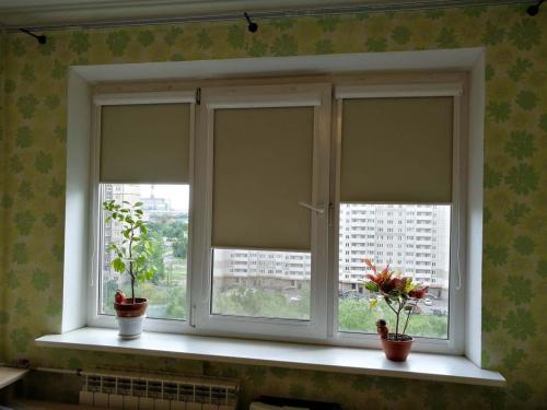 Рулонные шторы в интерьере гостинной. Рулонные шторы: плюсы и минусы установки, выбор материалов, креплений и типов, фото и видео