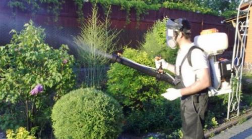 Обработка деревьев медным купоросом осенью пропорции. Опрыскивание медным купоросом осенью 05