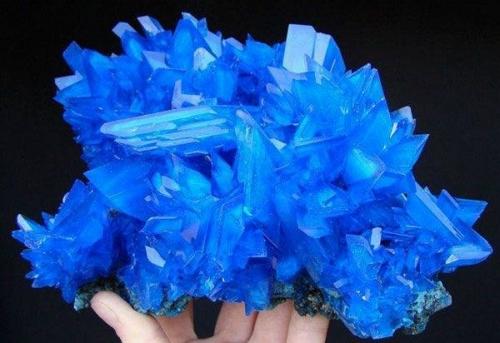 Обработка внутренней поверхности теплицы медным купоросом. Для чего обрабатывать теплицу весной 02