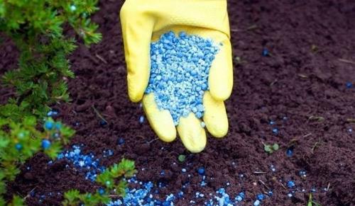 Обработка внутренней поверхности теплицы медным купоросом. Для чего обрабатывать теплицу весной 04