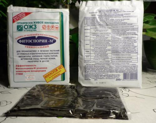 Чем обработать теплицу весной