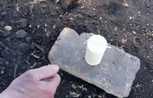 Чем обработать теплицу весной