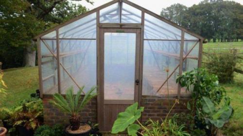 Обработка теплицы марганцовкой. Обработка теплицы весной от болезней и вредителей: для чего нужна и как правильно проводить?