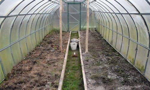 Обработка теплицы весной без замены почвы. Как обработать теплицу весной: все способы подготовки «объекта» к новому сезону