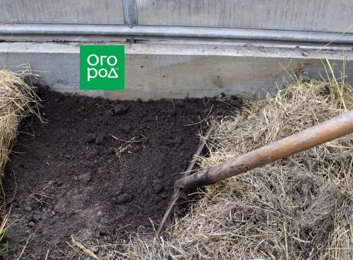 Обработка теплицы осенью медным купоросом. Ша.  Обработка земли в теплице осенью от вредителей 03