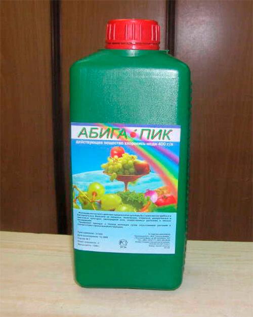 Обработка почвы бордоской жидкостью. Бордосская жидкость, применение в садоводстве весной и осенью