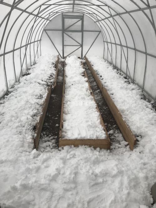 Обработка теплицы марганцовкой. Обработка теплицы весной от болезней и вредителей: для чего нужна и как правильно проводить?