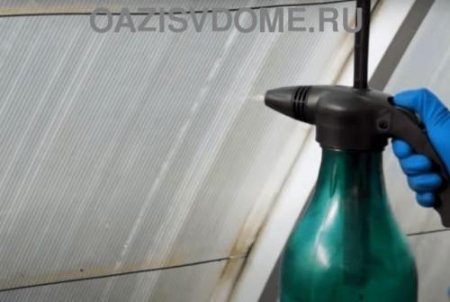 Зачем и как обрабатывать медным купоросом теплицы. Как развести медный купорос и обработать им теплицу