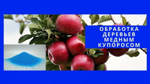Можно ли обрабатывать теплицу железным купоросом осенью. Подготовительные работы 07