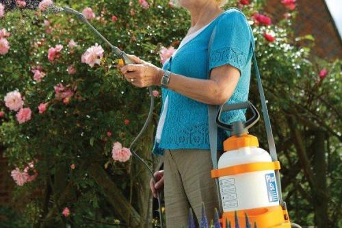 Как развести медный купорос. Медный купорос от грибка