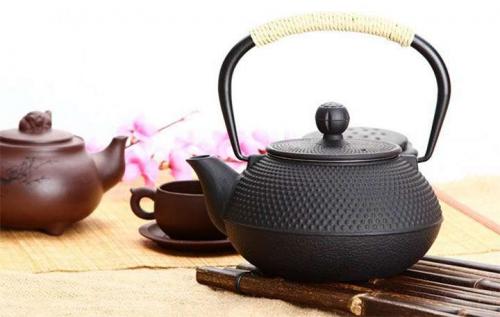 Какой чайник лучше эмалированный или из нержавейки. Чайник для газовой плиты: какой лучше использовать и как правильно выбрать