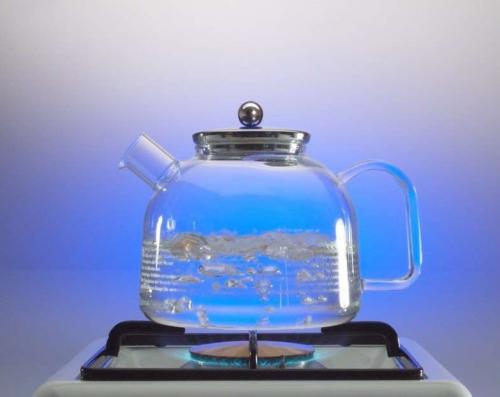 Какой чайник лучше эмалированный или из нержавейки. Чайник для газовой плиты: какой лучше использовать и как правильно выбрать