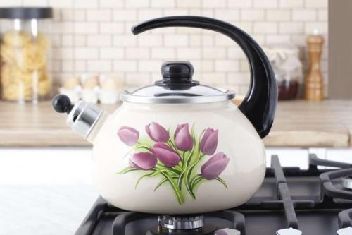 Какой чайник лучше эмалированный или из нержавейки. Чайник для газовой плиты: какой лучше использовать и как правильно выбрать