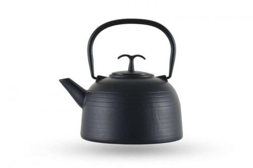 Какой чайник лучше эмалированный или из нержавейки. Чайник для газовой плиты: какой лучше использовать и как правильно выбрать