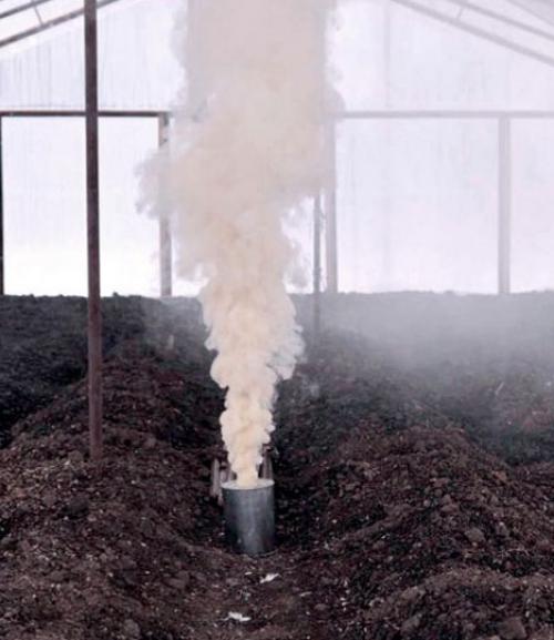 Чем обработать теплицу осенью от белокрылки. Обработка теплицы