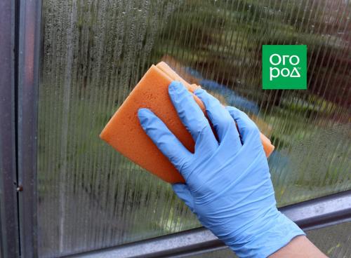 Чем обработать теплицу осенью от вредителей и болезней. Чем обработать теплицу из поликарбоната осенью 05