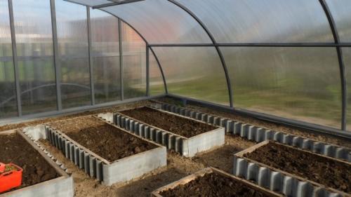 Чем обработать почву в теплице от болезней и вредителей. Чем обработать землю в теплице? 01