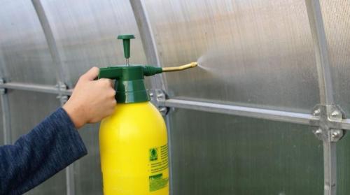 Дезинфекция теплицы из поликарбоната. Чем обработать теплицу из поликарбоната?