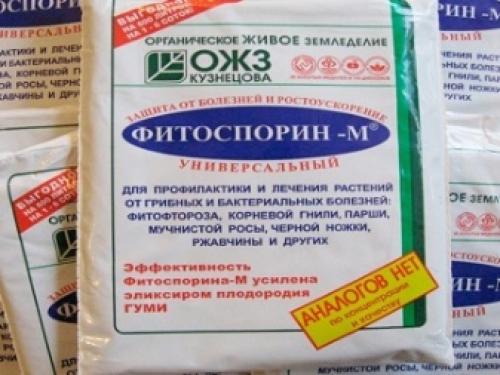 Чем обработать почву в теплице от болезней и вредителей. Чем обработать землю в теплице? 07