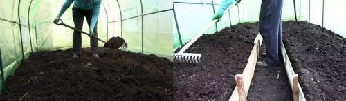 Обработка теплицы белизной осенью. Обработка теплицы осенью без замены почвы. Необходимость обеззараживания почвы