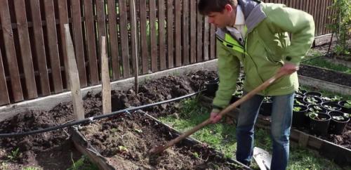 Как подготовить грядки к зиме. Необходимость подготовительных работ 01 Как подготовить грядки к зиме. Необходимость подготовительных работ 01