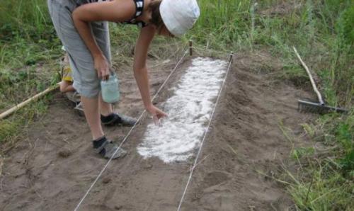 Подготовка грядки под морковь осенью. Подготовка грядки для лука
