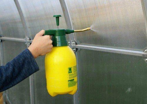 Чем полить землю в теплице осенью. Осенняя обработка почвы в теплице: 5 важных правил