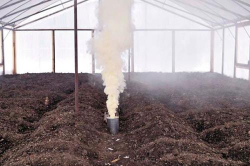 Обработка теплицы осенью белизной. Разнообразие методов