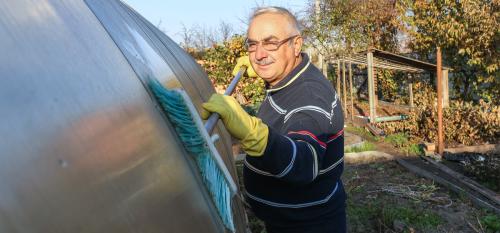 Как подготовить теплицу к следующему сезону. Как подготовить теплицу к новому сезону, рассказывает известный агроном Петр Ломоно. 2021,nbsp11:00nbsp /nbsp