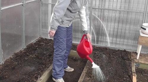 Чем обработать землю в теплице от грибковых заболеваний. Пошаговая инструкция по обработке грунта: как обеззаразить почву в теплице без замены, выбор эффективных препаратов