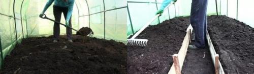 Чем обработать почву в теплице осенью. Необходимость обеззараживания почвы