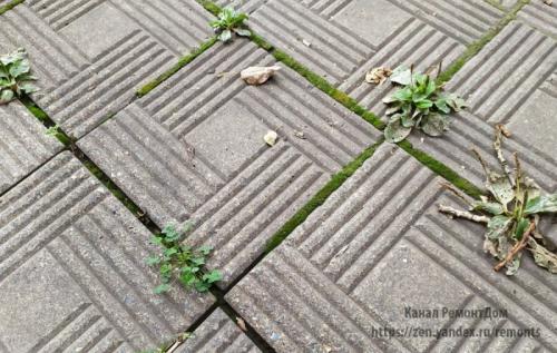 Отмостка вокруг дома из брусчатки. Плюсы и минусы 04