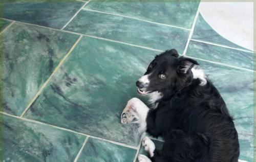 Чем покрасить бетонный пол в гараже. Чем лучше покрасить бетонный пол в гараже? 07 Чем покрасить бетонный пол в гараже. Чем лучше покрасить бетонный пол в гараже? 07