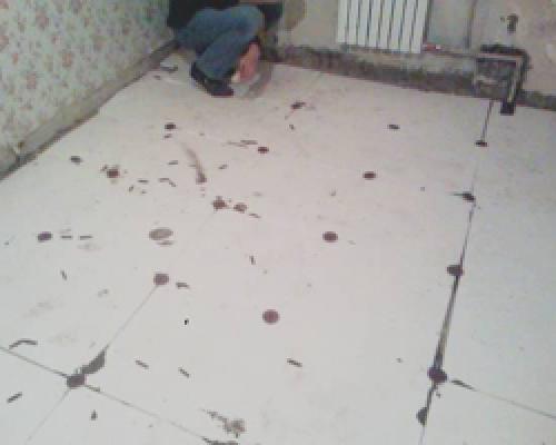 Как лучше всего закрепить листы пеноплекса на бетонном полу. Возможные ошибки