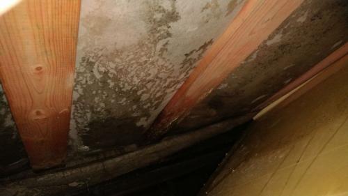 Какие преимущества и недостатки утепления деревянного пола пенополистиролом. Утеплитель пенопласт влаге выхода не даст! Или почему экструдированный полистирол нельзя использовать для утепления деревянных домов   1