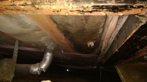 Какие преимущества и недостатки утепления деревянного пола пенополистиролом. Утеплитель пенопласт влаге выхода не даст! Или почему экструдированный полистирол нельзя использовать для утепления деревянных домов   1